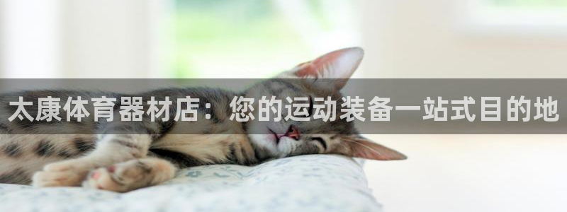 尊龙集团有限公司地址：太康体育器材店：您的运动装备一