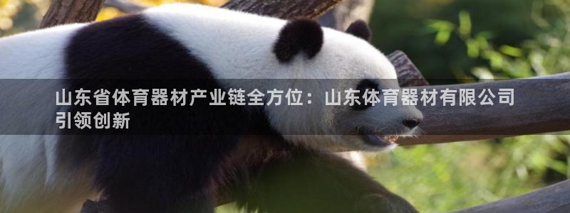 尊龙—人生就是博：山东省体育器材产业链全方位：山东体