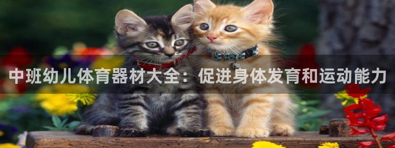 尊龙凯时品牌介绍：中班幼儿体育器材大全：促进身体发育