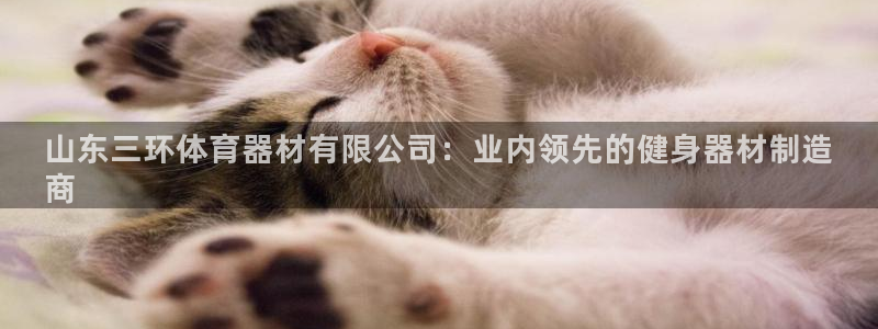 尊龙凯时能不能提现?：山东三环体育器材有限公司：业内