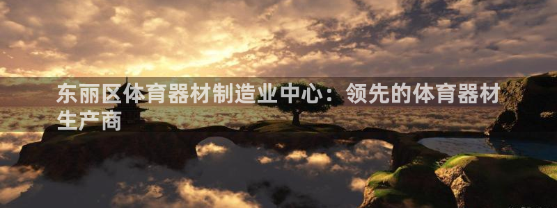 尊龙集团有限公司官网地址：东丽区体育器材制造业中心：
