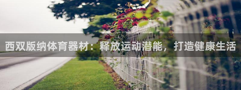 z6尊龙凯时：西双版纳体育器材：释放运动潜能，打造健