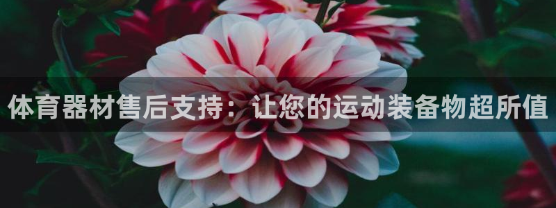 尊龙官网地址：体育器材售后支持：让您的运动装备物超所