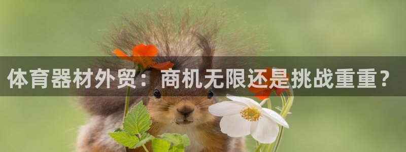 尊龙官网下载：体育器材外贸：商机无限还是挑战重重？