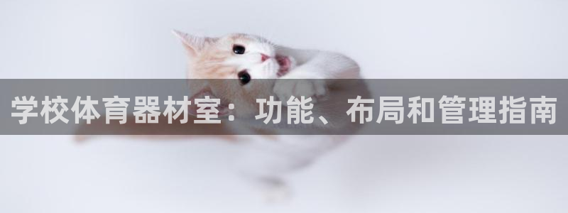 尊龙凯时官方网站：学校体育器材室：功能、布局和管理指
