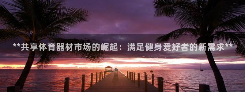 尊龙凯时旗舰厅官网：**共享体育器材市场的崛起：满足