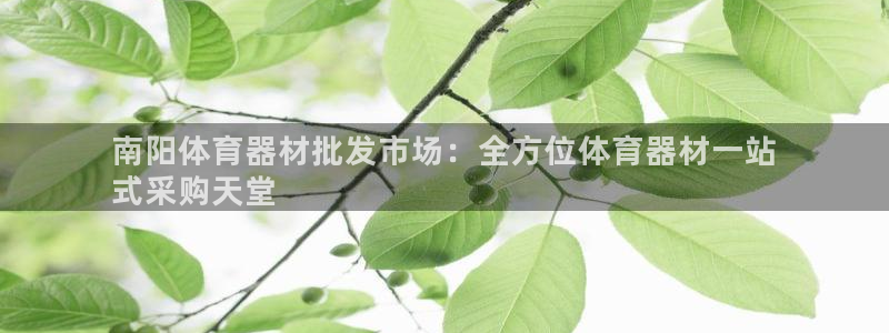凯时a88：南阳体育器材批发市场：全方位体育器材一站