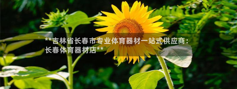 凯时效果怎么样：**吉林省长春市专业体育器材一站式供