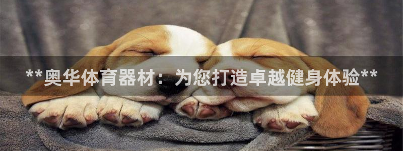 尊龙现金娱乐 下载：**奥华体育器材：为您打造卓越健