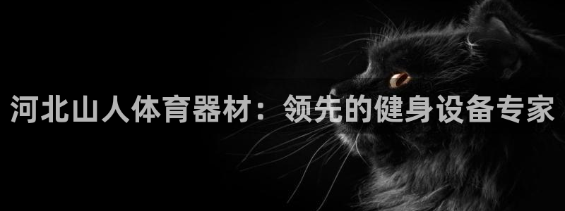 尊龙凯时论坛：河北山人体育器材：领先的健身设备专家