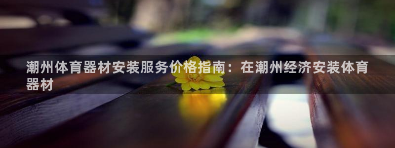 尊龙官网在哪里：潮州体育器材安装服务价格指南：在潮州