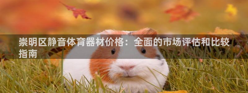 尊龙d88官网so问来就送38：崇明区静音体育器材价