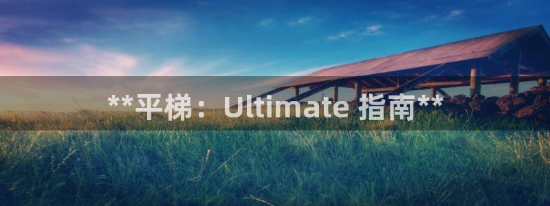 尊龙长相评价：**平梯：Ultimate 指南**