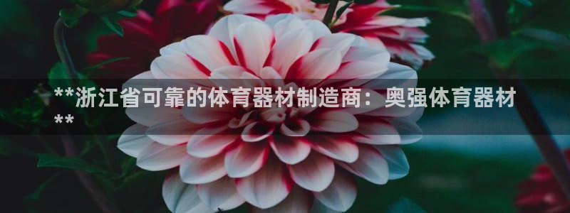 有人在凯时赢过钱吗：**浙江省可靠的体育器材制造商：
