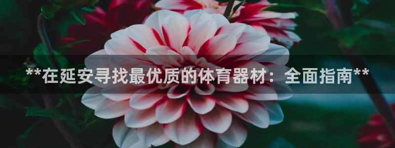 尊龙凯时下载官方正版：**在延安寻找最优质的体育器材