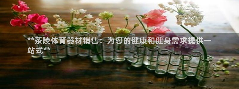 凯时平台官网RA来就送38：**茶陵体育器材销售：为