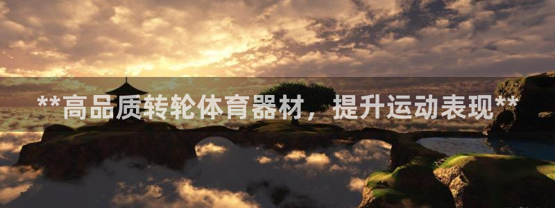 尊龙APP客户端平台：**高品质转轮体育器材，提升运
