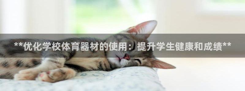 尊龙凯时最新平台登陆：**优化学校体育器材的使用：提