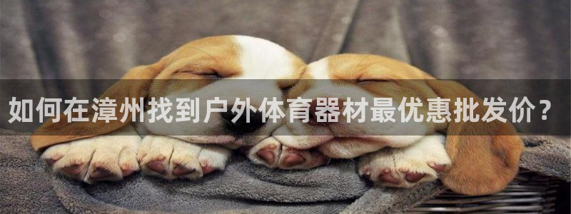 凯时登录平台去AG发财网：如何在漳州找到户外体育器材