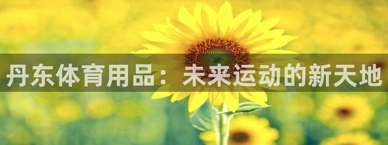 KB88凯时官网
