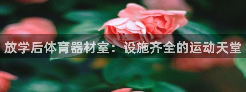 尊龙人生手机版都去ag发财网