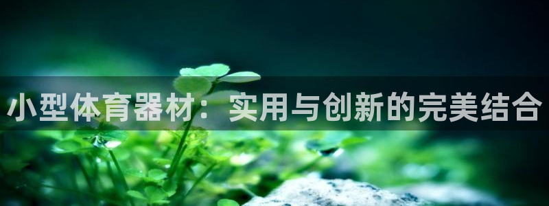 尊龙手机官方客户端下载安装