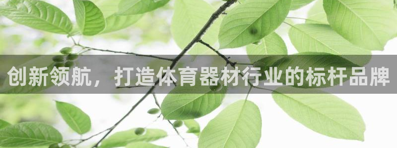 凯时kb88kb88