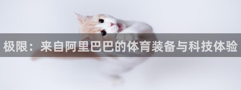 尊龙人生就是博旧版现金娱乐一下