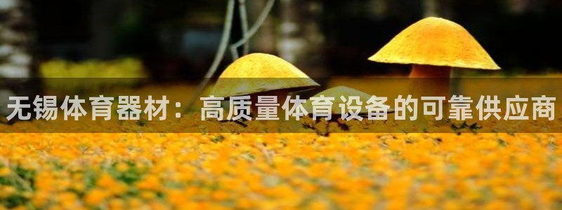 尊龙凯时人生就博官网：无锡体育器材：高质量体育设备的可靠供应
