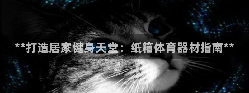 尊龙凯时泰安：**打造居家健身天堂：纸箱体育器材指南