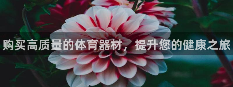 尊龙凯时平台入口：购买高质量的体育器材，提升您的健康