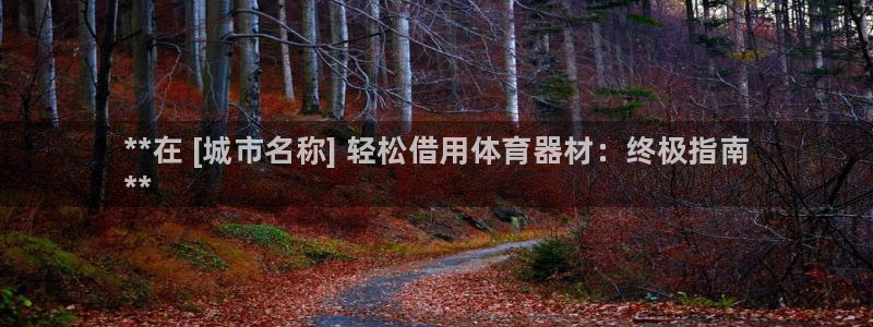 尊龙t600怎么样：**在 [城市名称] 轻松借用体