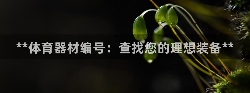 尊龙凯时电竞：**体育器材编号：查找您的理想装备**