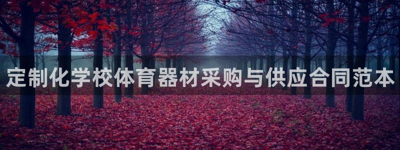 尊龙凯时美金能提取吗：定制化学校体育器材采购与供应合同范本