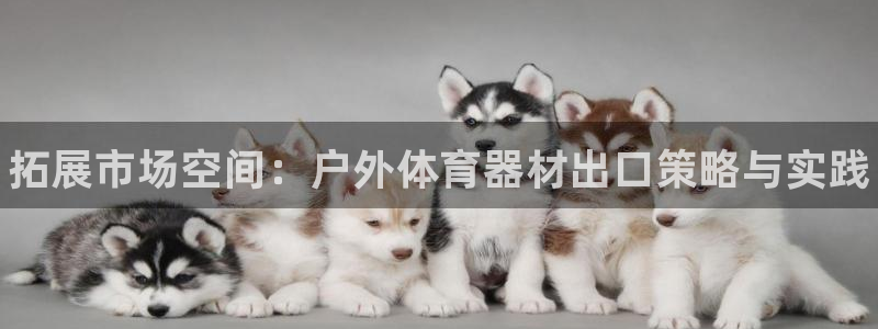 凯时国际娱乐官方网址：拓展市场空间：户外体育器材出口