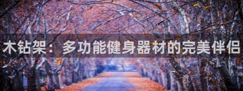 凯时在线平台官网：木钻架：多功能健身器材的完美伴侣