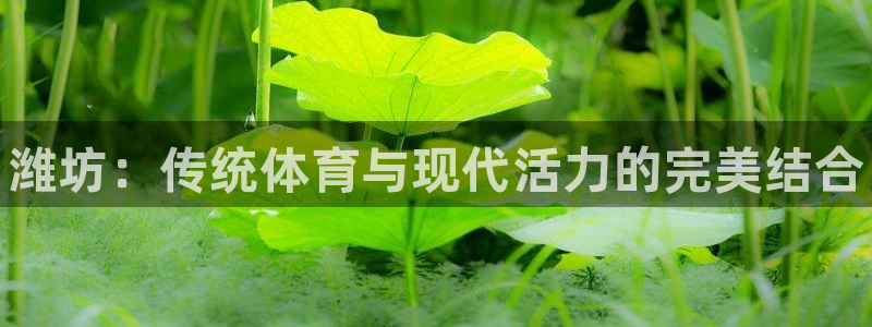 尊龙集团有限公司官网：潍坊：传统体育与现代活力的完美