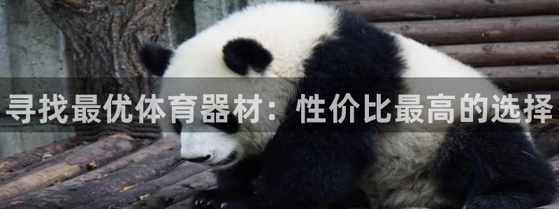 尊龙实业 吴友良：寻找最优体育器材：性价比最高的选择