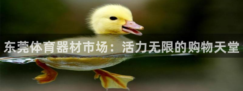 尊龙app登录不了：东莞体育器材市场：活力无限的购物