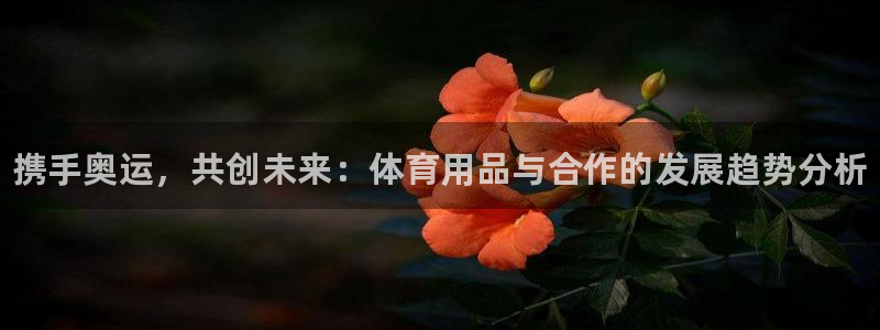 尊龙凯时存款不上分：携手奥运，共创未来：体育用品与合