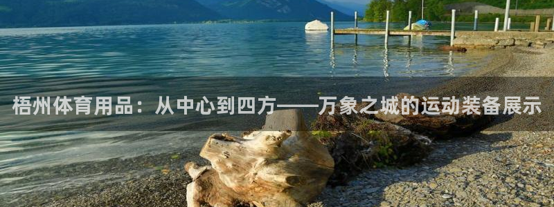 尊龙凯时ag旗舰厅试玩：梧州体育用品：从中心到四方—